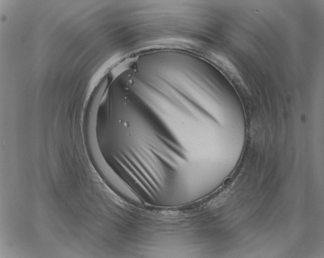 X0000061731180200512231427