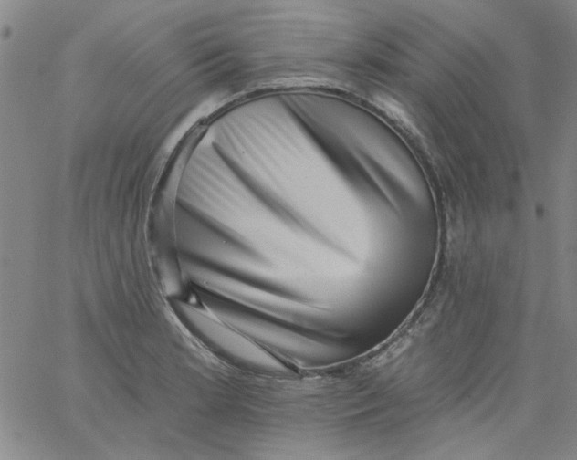 X0000061731181200512231427