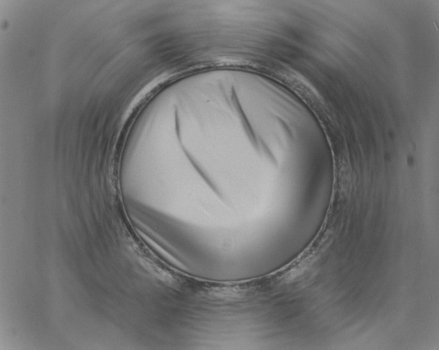 X0000061731182200512231427