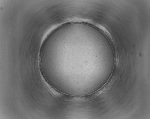 X0000061731183200512231427