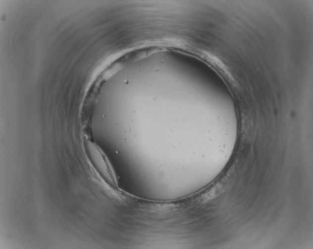 X0000061731184200512231427