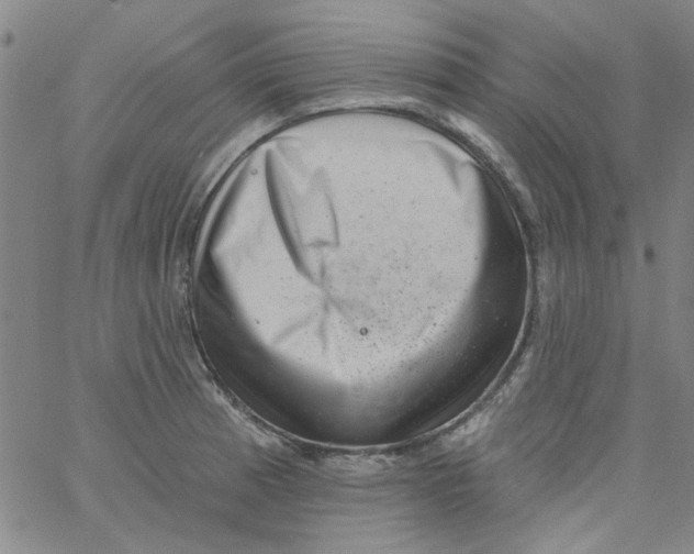 X0000061731185200512231427