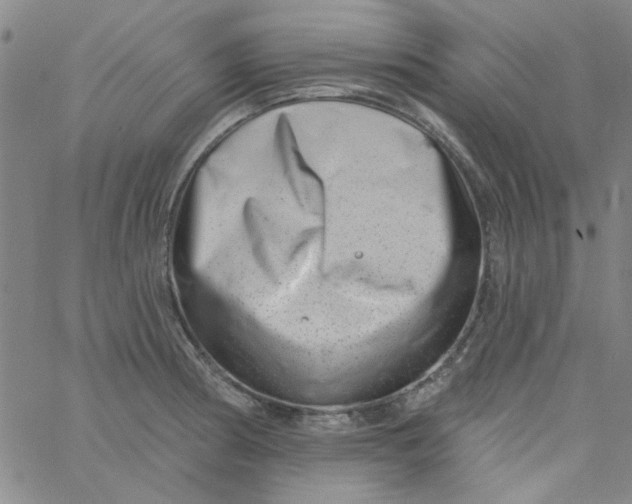 X0000061731186200512231427