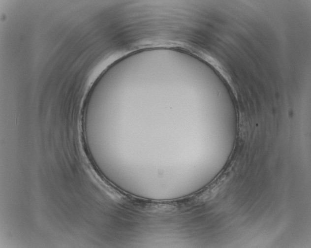 X0000061731187200512231427