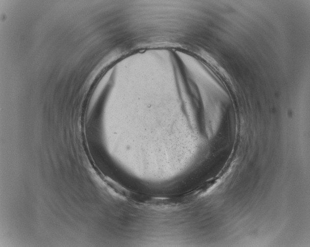 X0000061731189200512231427