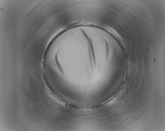 X0000061731190200512231427