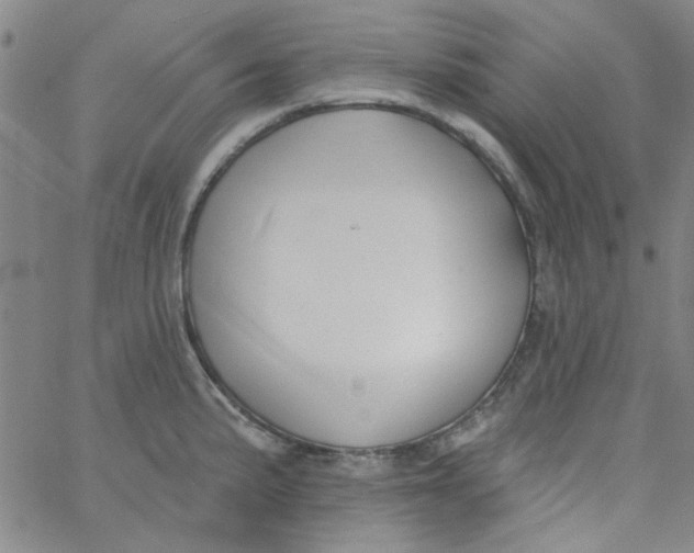 X0000061731191200512231427