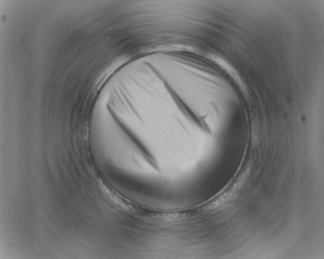 X0000061731193200512231427