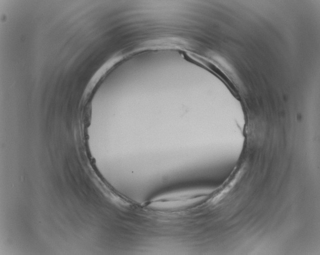 X0000061731196200512231427