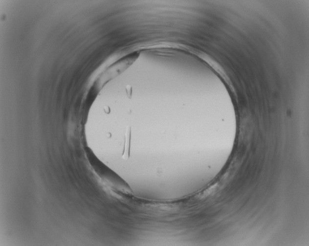 X0000061731197200512231427