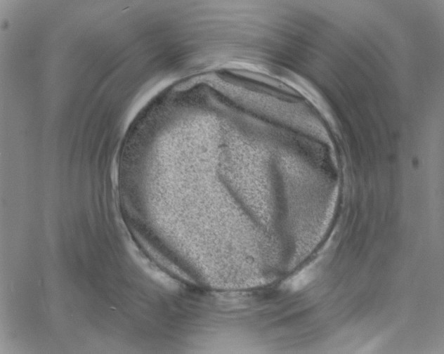 X0000061731198200512231427