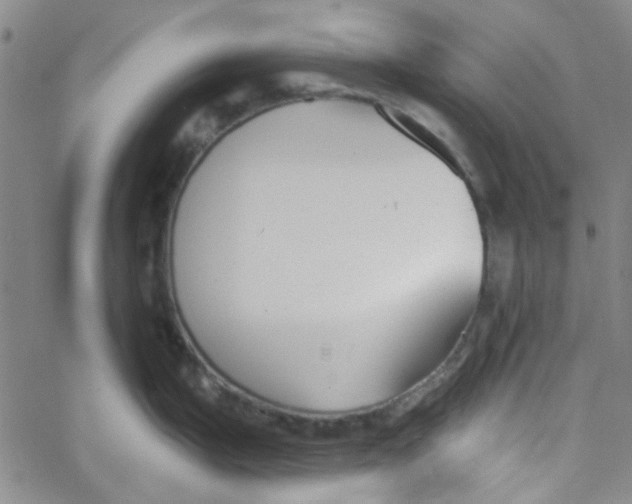 X0000061731199200512231427