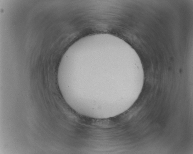 X0000061731201200512231426