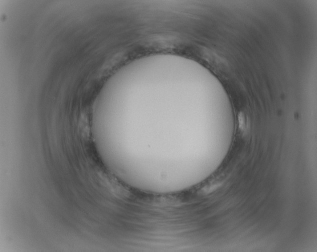 X0000061731203200512231426