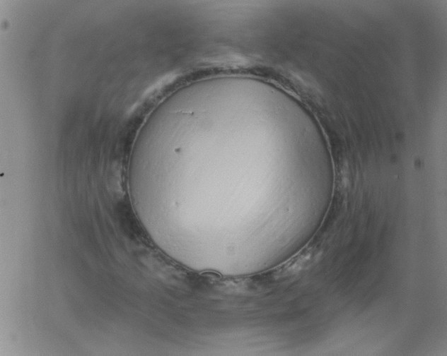 X0000061731205200512231426