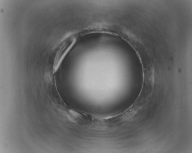 X0000061731206200512231426