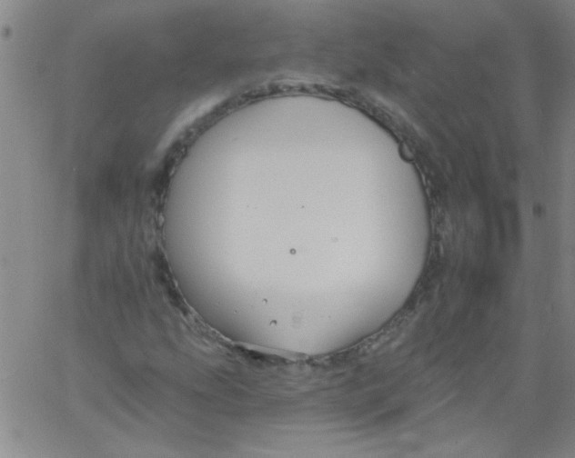 X0000061731207200512231426