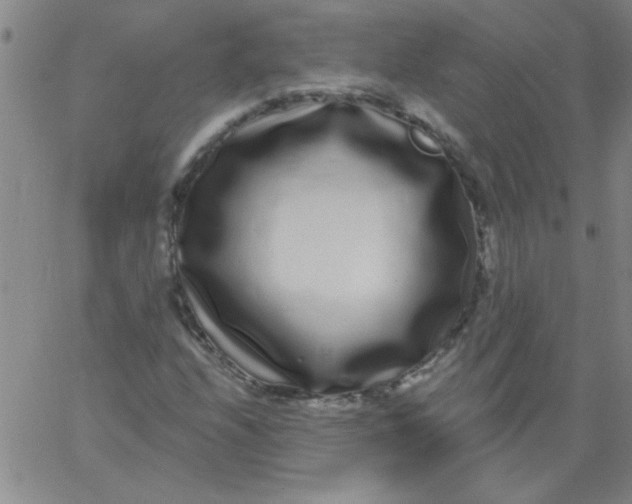 X0000061731208200512231426