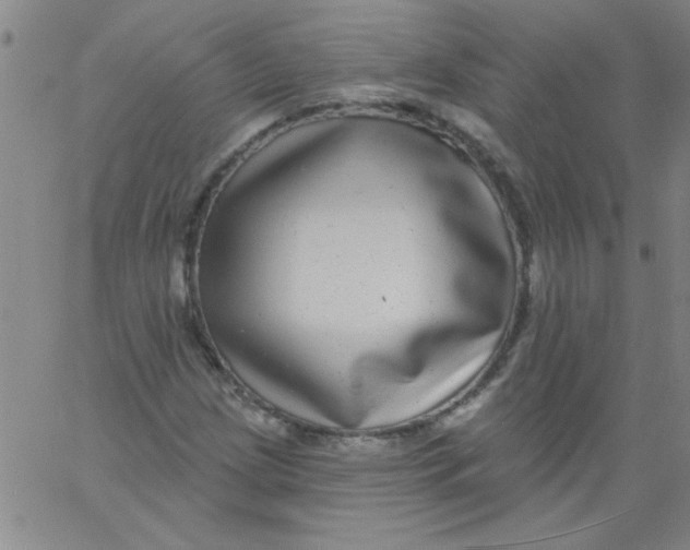 X0000061731209200512231426