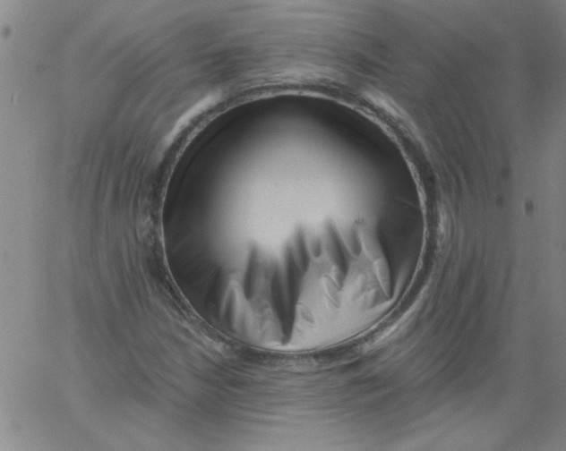 X0000061731210200512231426