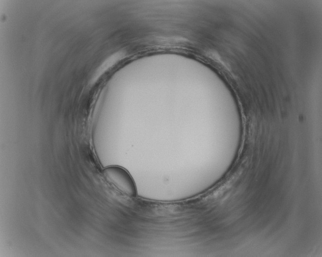 X0000061731211200512231426