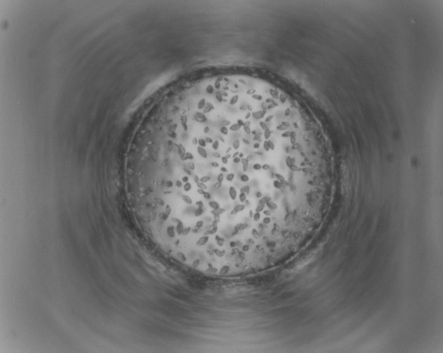 X0000061731213200512231426