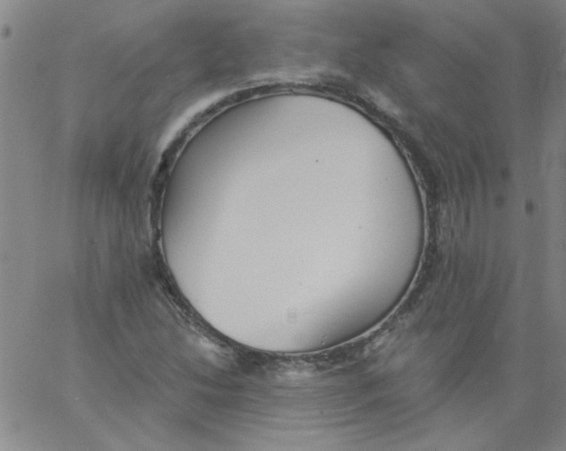 X0000061731214200512231426