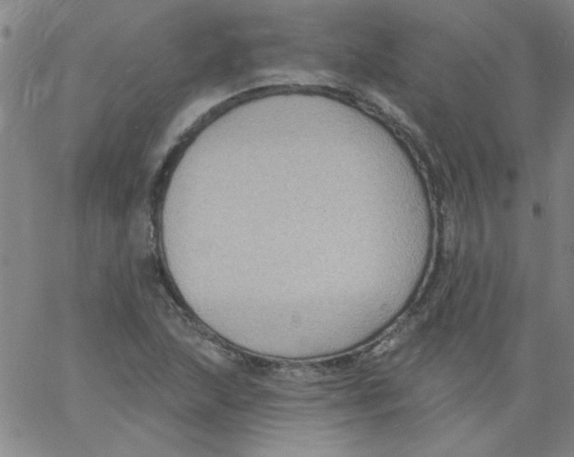 X0000061731215200512231426