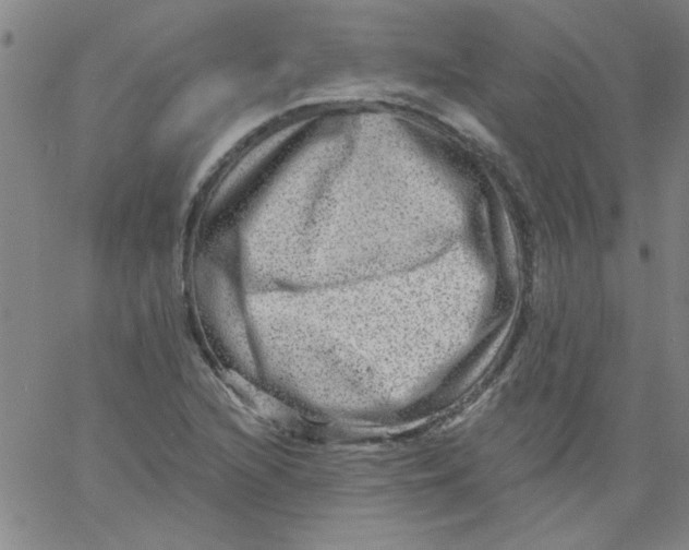 X0000061731216200512231426