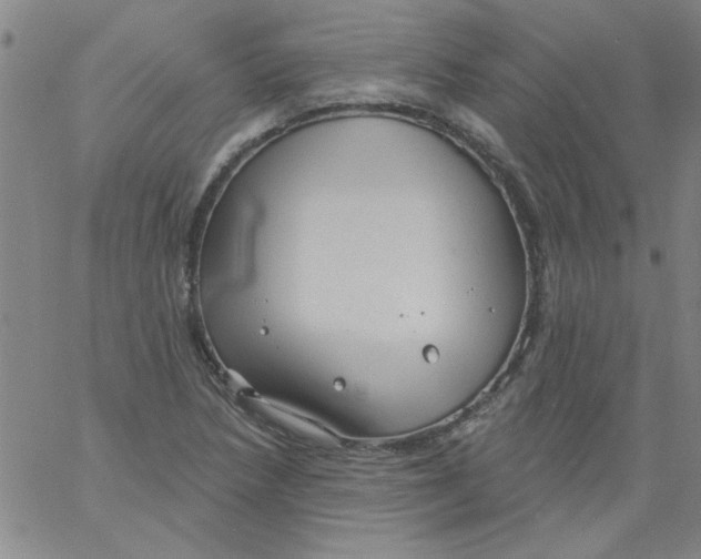 X0000061731218200512231426