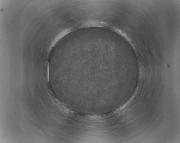 X0000061731219200512231426