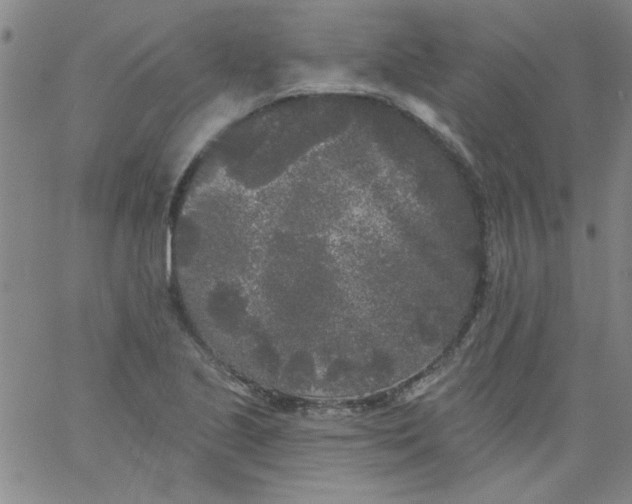 X0000061731221200512231426