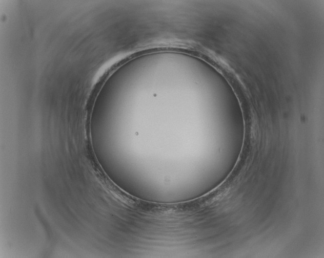 X0000061731222200512231426