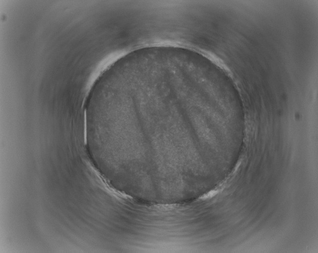 X0000061731223200512231426