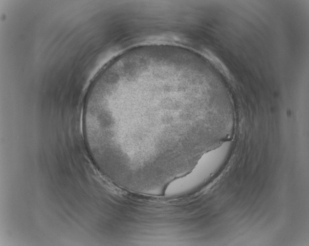 X0000061731224200512231426