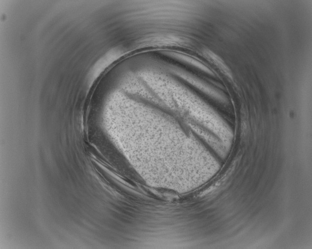 X0000061731226200512231426