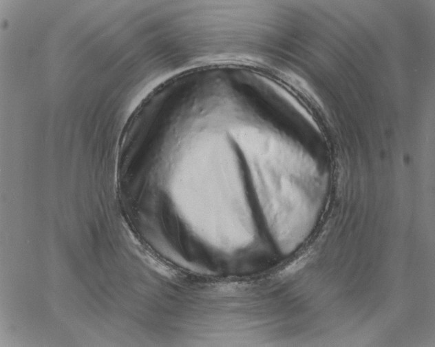 X0000061731228200512231426