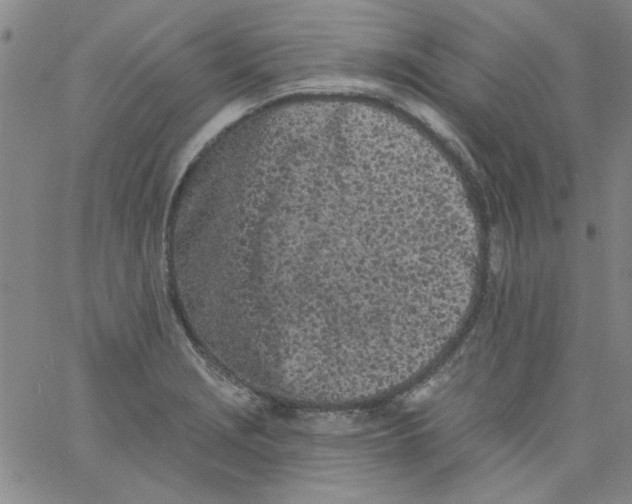 X0000061731229200512231426