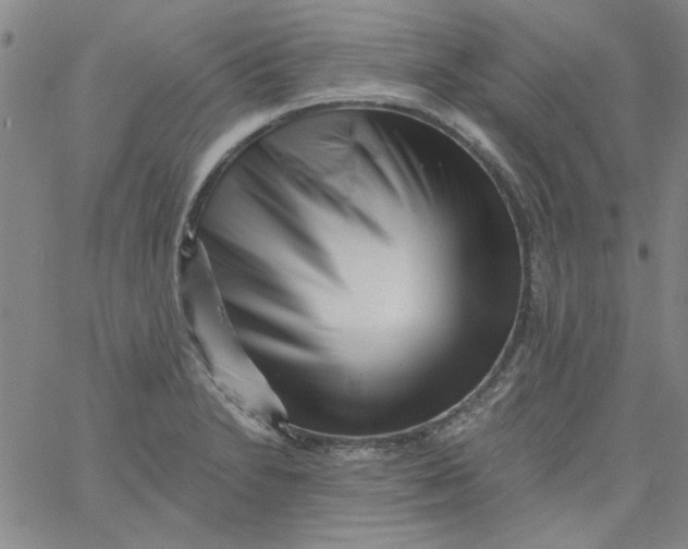 X0000061731230200512231426