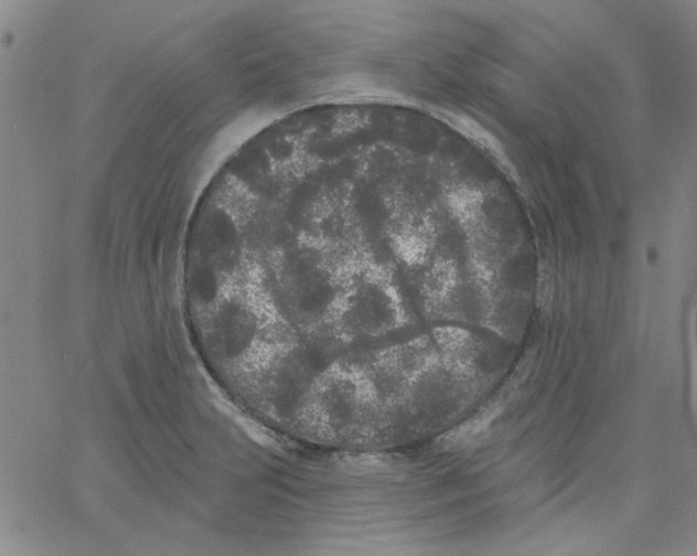 X0000061731231200512231426