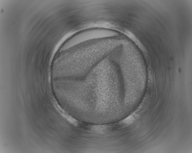 X0000061731232200512231426