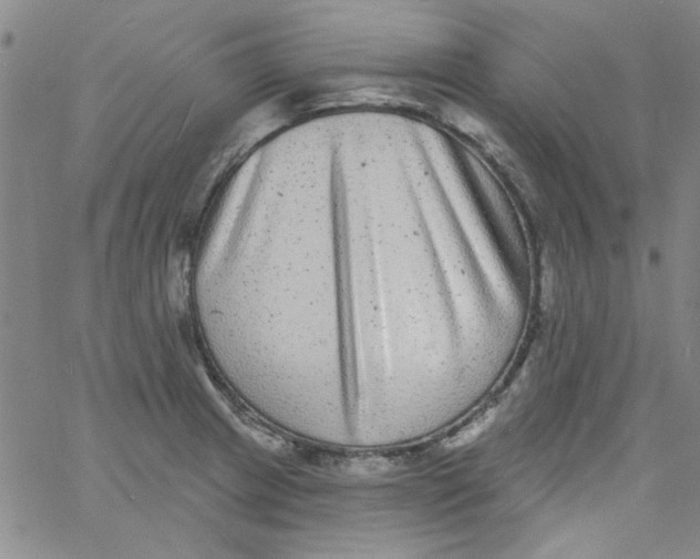 X0000061731233200512231426