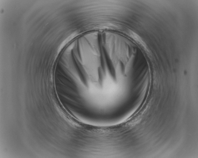 X0000061731234200512231426