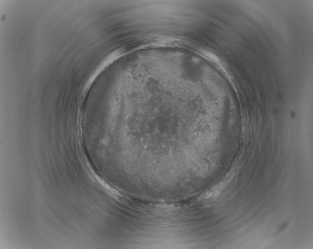 X0000061731235200512231426