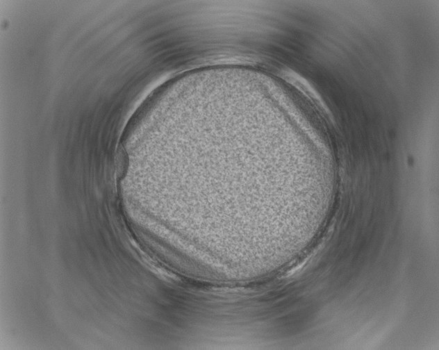 X0000061731236200512231426