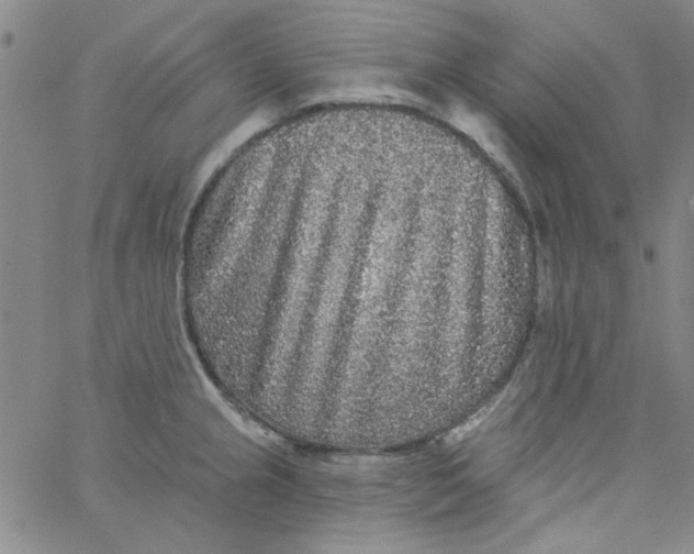 X0000061731237200512231426