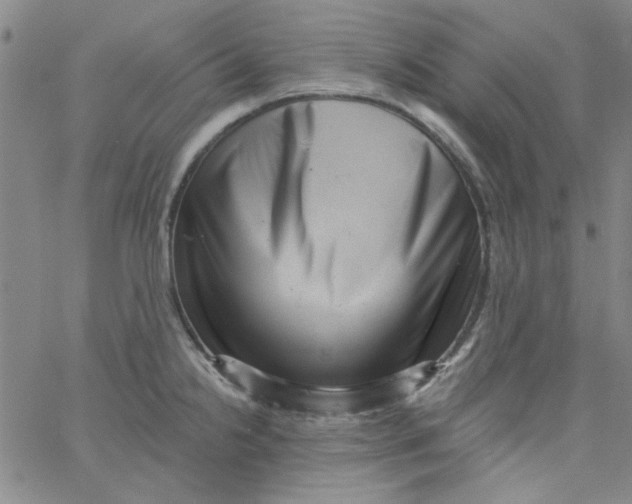 X0000061731238200512231426