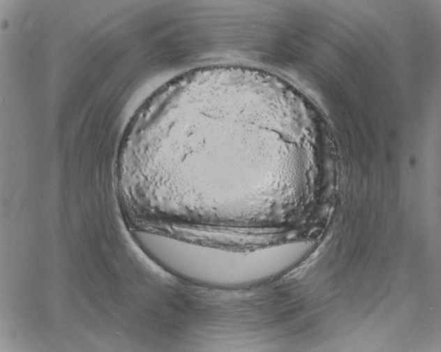 X0000061731239200512231426