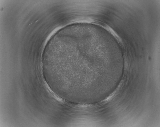 X0000061731240200512231426