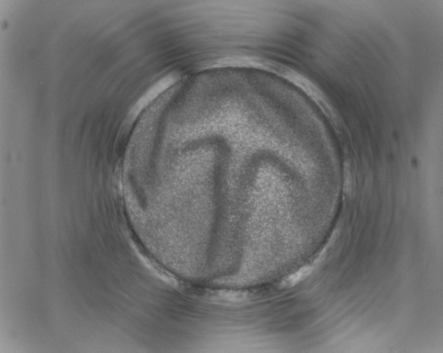 X0000061731241200512231426